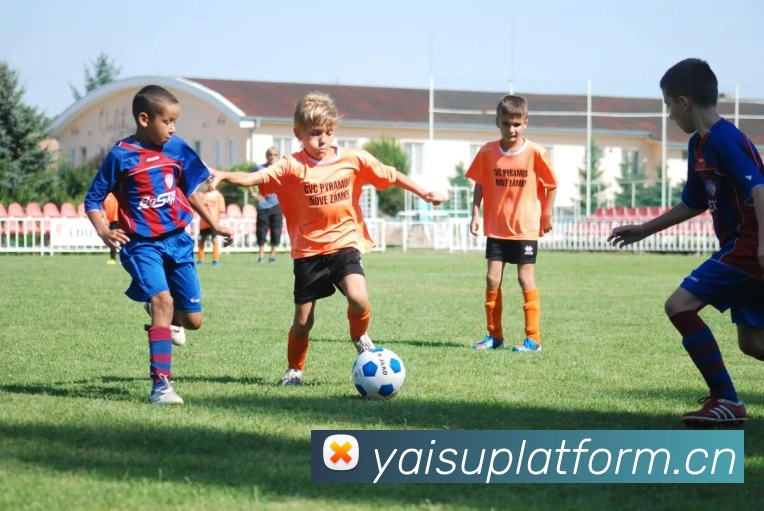 熊猫体育中国官方网站服务体系